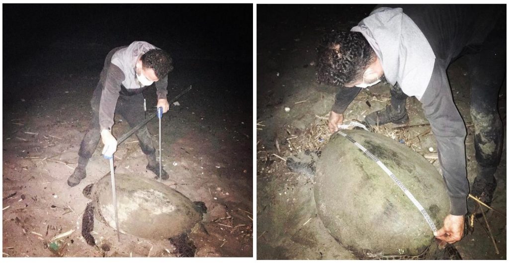 Küresel İklim Değişikliğinin Sonucu Araştırılıyor