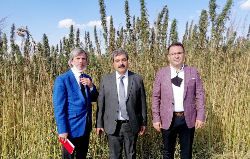 SBTÜ tarafından 100 dekarlık alanda kenevir ekimi yapılarak hasat edildi.