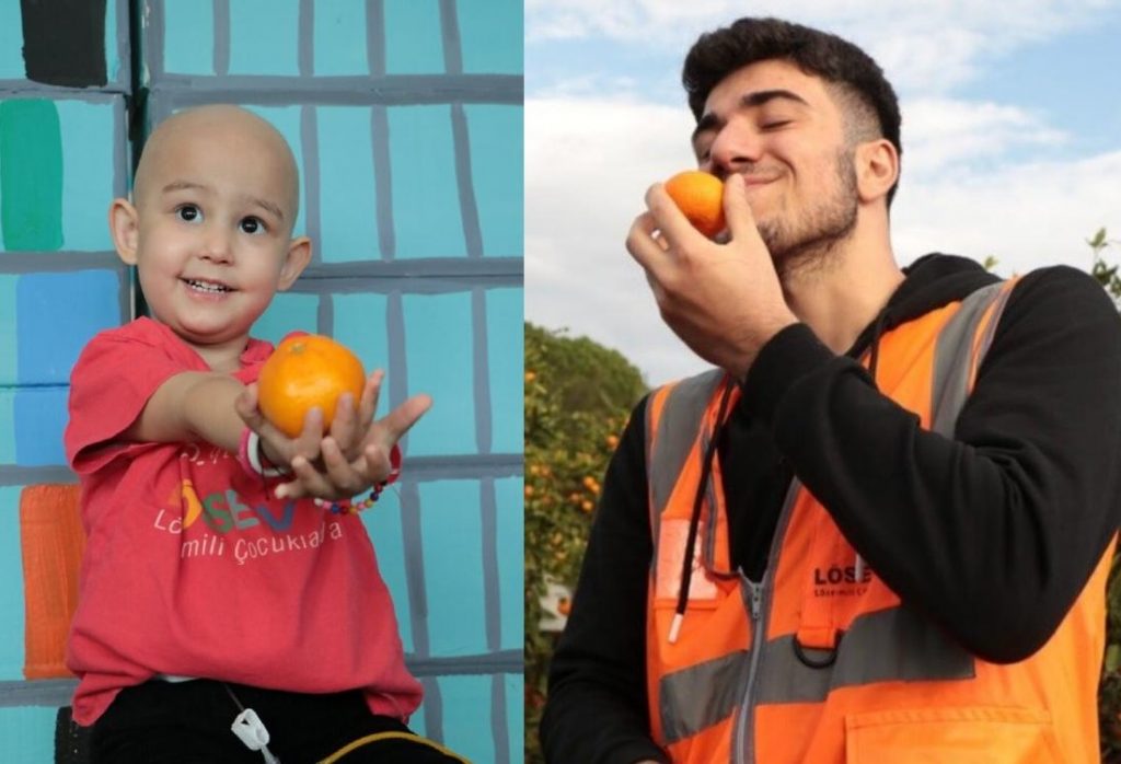LÖSEV SATSUMA MANDALİNASI SATIŞI BAŞLADI